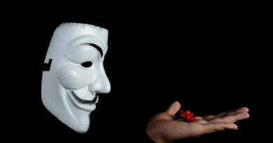 photo of guy fawkes mask with red flower on top on hand