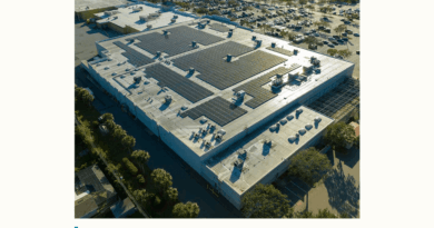 World Road、グローバル×サステナビリティをテーマにしたコラムを開始