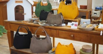 創業70年の革工房が“次の一手”へ ― 保護猫との出会いから広がる新ブランド「bri&gra（ブリ＆グラ）」、大阪・平野区から新たな価値創出へ
