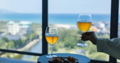 海のある京都で味わう丹後地ビール。２週間限定「世界ビールデー」を愉しむプラン　 夕日ヶ浦温泉「佳松苑 別邸ふうか」