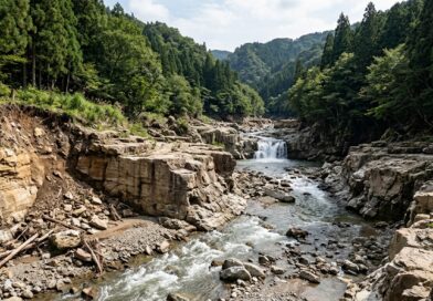 能登半島地震の隆起で生じた「滝」が川を遡上、東北大などが段丘形成プロセスを高精細観測
